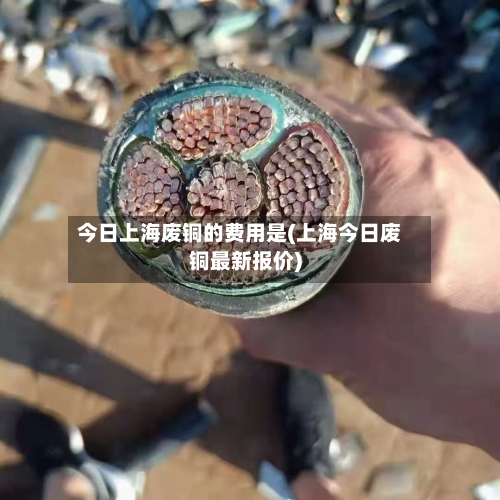 今日上海废铜的费用是(上海今日废铜最新报价)-第2张图片