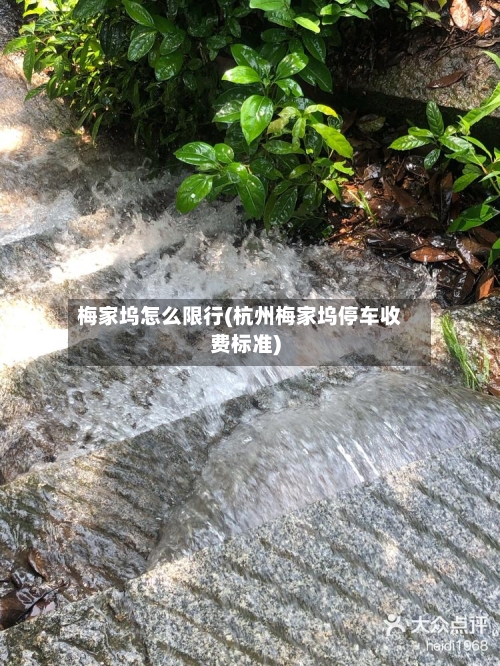 梅家坞怎么限行(杭州梅家坞停车收费标准)