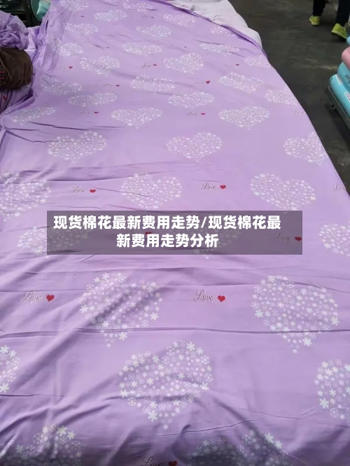 现货棉花最新费用走势/现货棉花最新费用走势分析-第2张图片