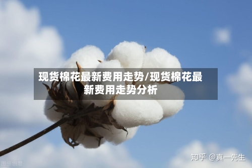 现货棉花最新费用走势/现货棉花最新费用走势分析