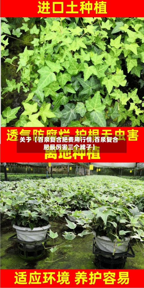 关于【百泉复合肥费用行情,百泉复合肥最厉害三个牌子】