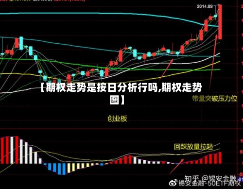 【期权走势是按日分析行吗,期权走势图】