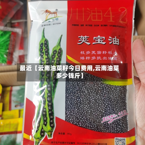 最近【云南油菜籽今日费用,云南油菜多少钱斤】