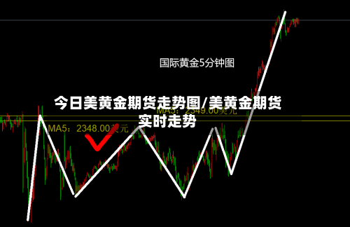 今日美黄金期货走势图/美黄金期货实时走势-第2张图片