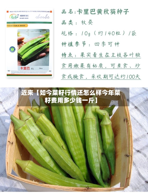 近来【如今菜籽行情还怎么样今年菜籽费用多少钱一斤】