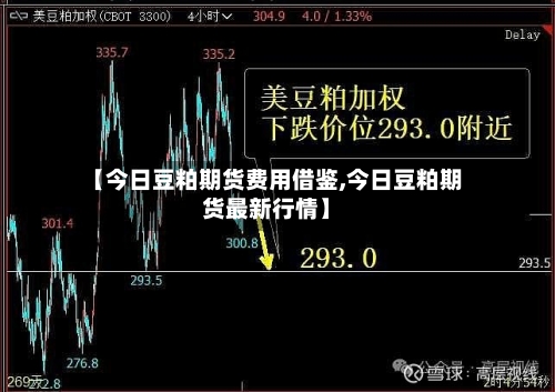 【今日豆粕期货费用借鉴,今日豆粕期货最新行情】-第2张图片
