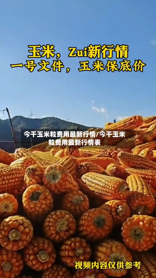 今干玉米粒费用最新行情/今干玉米粒费用最新行情表