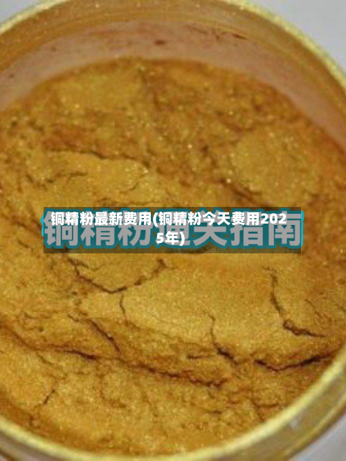铜精粉最新费用(铜精粉今天费用2025年)-第2张图片