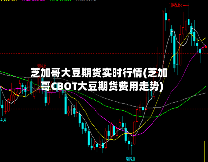 芝加哥大豆期货实时行情(芝加哥CBOT大豆期货费用走势)