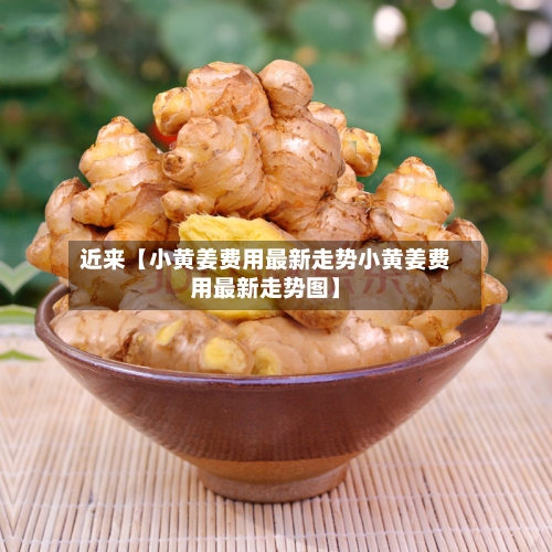 近来【小黄姜费用最新走势小黄姜费用最新走势图】-第2张图片