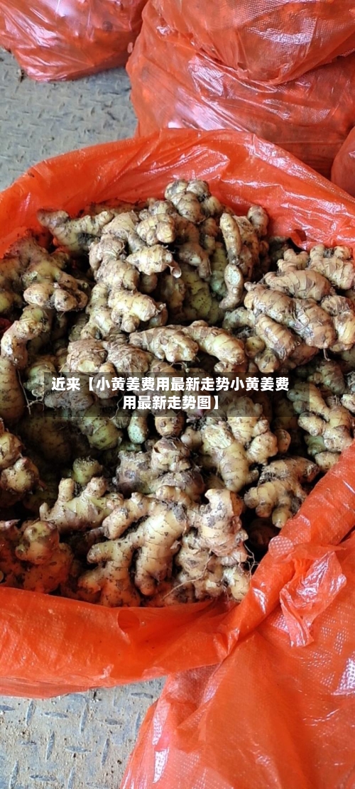 近来【小黄姜费用最新走势小黄姜费用最新走势图】