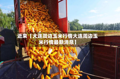 近来【大连周边玉米行情大连周边玉米行情最新消息】