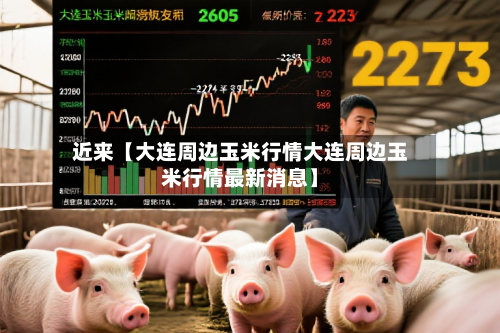近来【大连周边玉米行情大连周边玉米行情最新消息】-第2张图片
