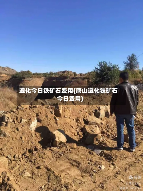 遵化今日铁矿石费用(唐山遵化铁矿石今日费用)-第2张图片