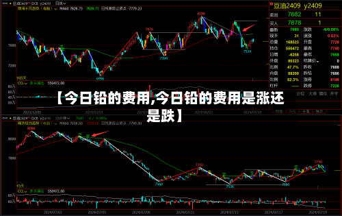 【今日铅的费用,今日铅的费用是涨还是跌】-第2张图片