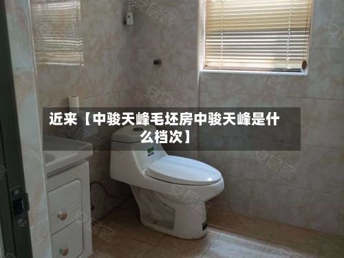 近来【中骏天峰毛坯房中骏天峰是什么档次】