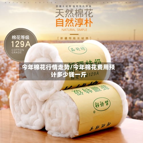 今年棉花行情走势/今年棉花费用预计多少钱一斤-第2张图片