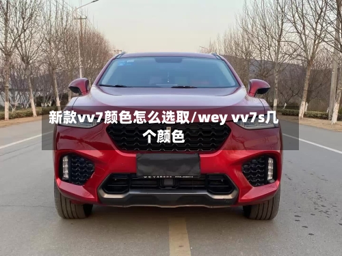 新款vv7颜色怎么选取/wey vv7s几个颜色