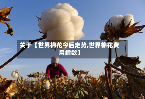 关于【世界棉花今后走势,世界棉花费用指数】-第2张图片