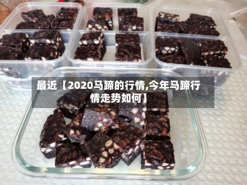 最近【2020马蹄的行情,今年马蹄行情走势如何】