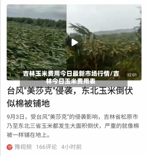 吉林玉米费用今日最新市场行情/吉林今日玉米费用表