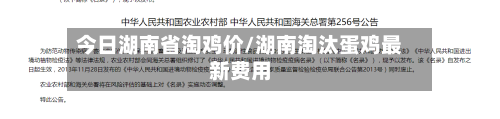 今日湖南省淘鸡价/湖南淘汰蛋鸡最新费用