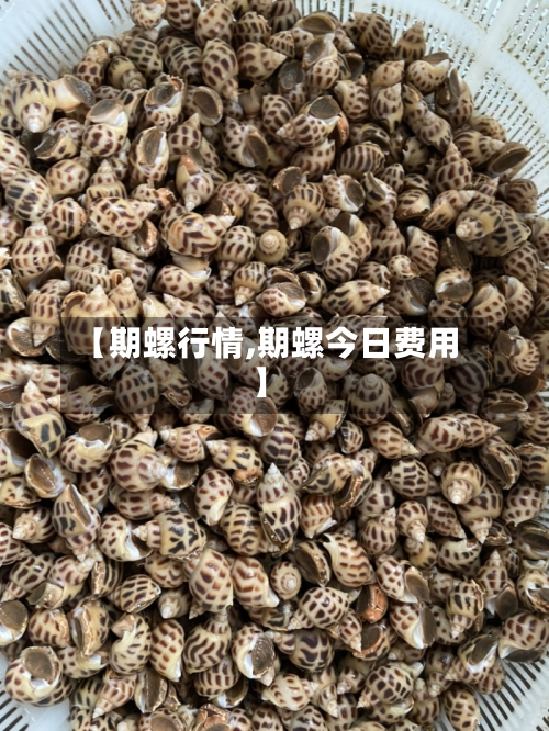 【期螺行情,期螺今日费用】