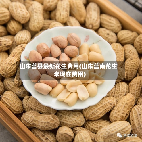 山东莒县最新花生费用(山东莒南花生米现在费用)-第3张图片