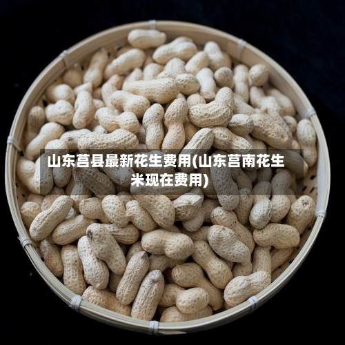 山东莒县最新花生费用(山东莒南花生米现在费用)