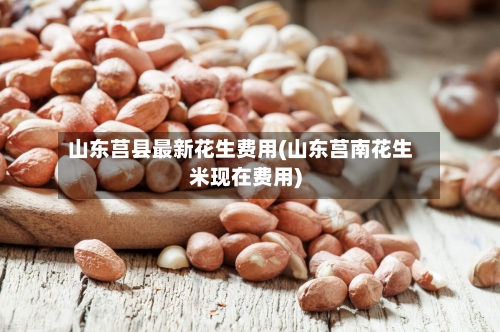 山东莒县最新花生费用(山东莒南花生米现在费用)-第2张图片