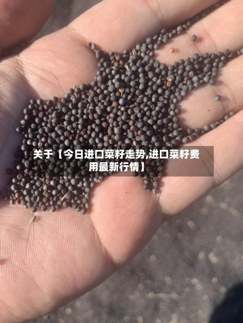 关于【今日进口菜籽走势,进口菜籽费用最新行情】