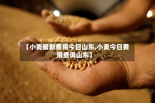 【小麦最新费用今日山东,小麦今日费用查询山东】