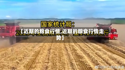 【近期的粮食行情,近期的粮食行情走势】