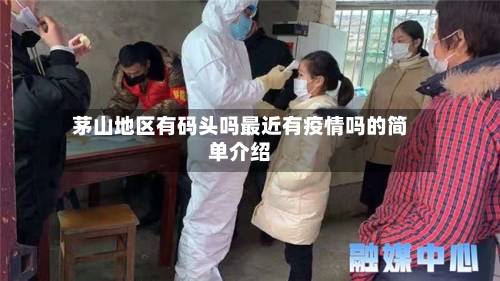 茅山地区有码头吗最近有疫情吗的简单介绍-第2张图片