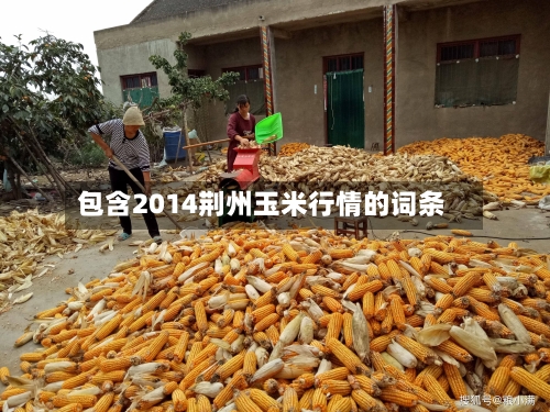 包含2014荆州玉米行情的词条-第2张图片