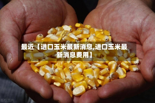 最近【进口玉米最新消息,进口玉米最新消息费用】