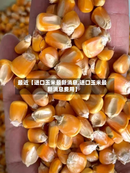 最近【进口玉米最新消息,进口玉米最新消息费用】-第3张图片