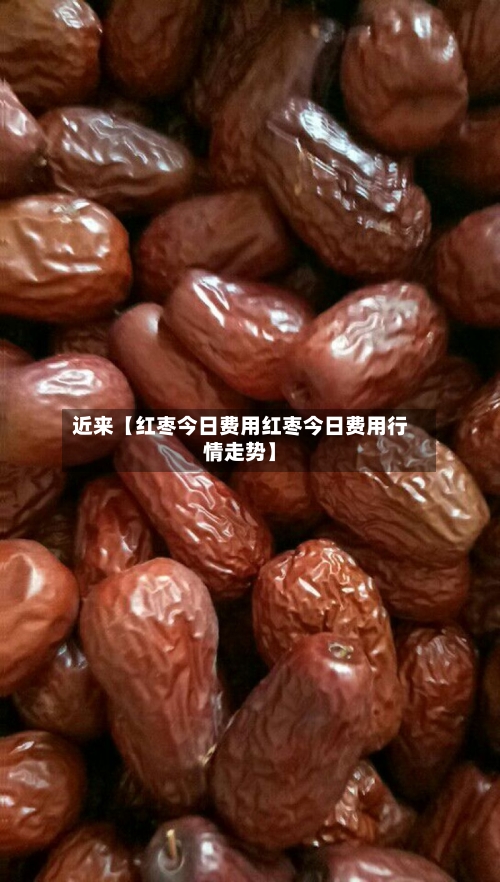 近来【红枣今日费用红枣今日费用行情走势】