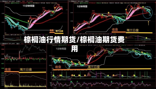 棕榈油行情期货/棕榈油期货费用