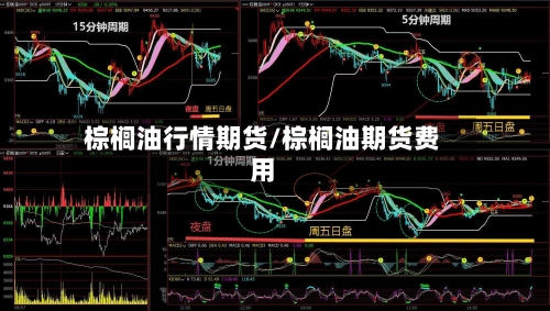 棕榈油行情期货/棕榈油期货费用-第3张图片