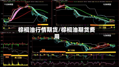 棕榈油行情期货/棕榈油期货费用-第2张图片