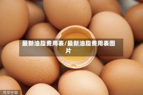 最新油脂费用表/最新油脂费用表图片
