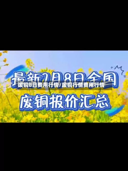 废铜8日费用行情/废铜行情费用行情