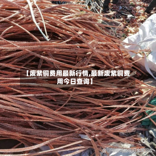 【废紫铜费用最新行情,最新废紫铜费用今日查询】-第2张图片