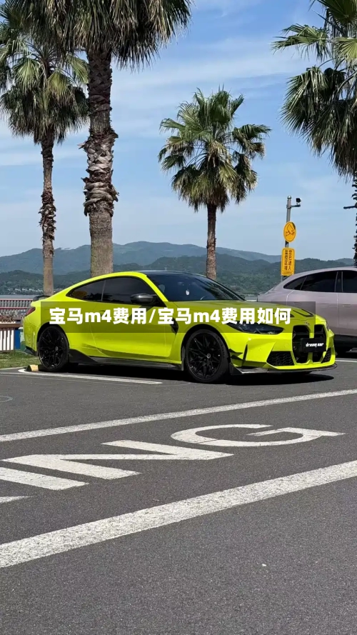 宝马m4费用/宝马m4费用如何-第3张图片