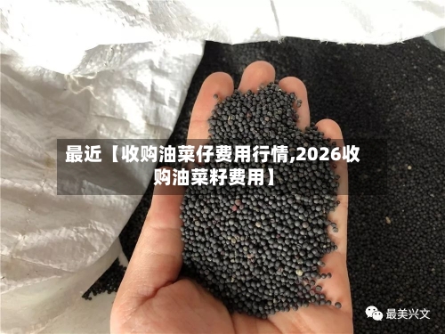 最近【收购油菜仔费用行情,2026收购油菜籽费用】