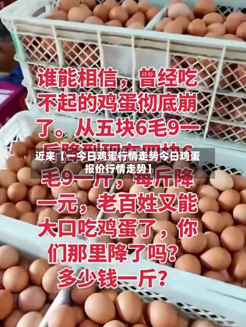 近来【一今日鸡蛋行情走势今日鸡蛋报价行情走势】