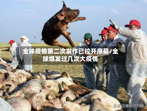 全球疫情第二次发作已拉开序幕/全球爆发过几次大疫情