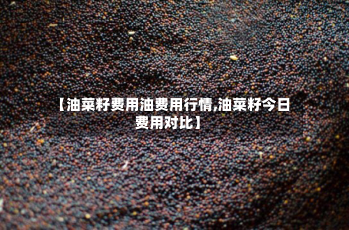 【油菜籽费用油费用行情,油菜籽今日费用对比】
