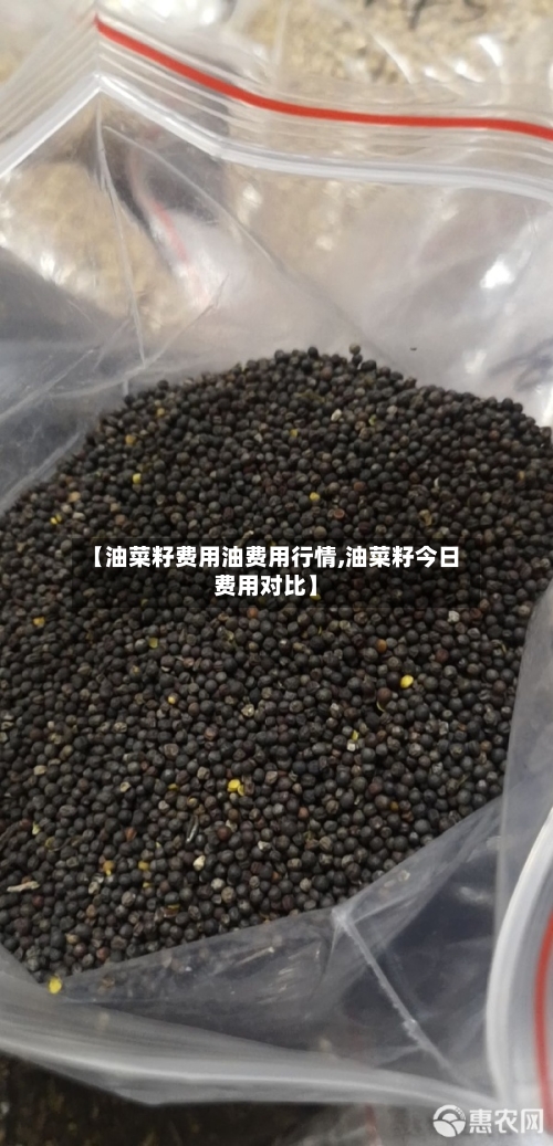 【油菜籽费用油费用行情,油菜籽今日费用对比】-第2张图片